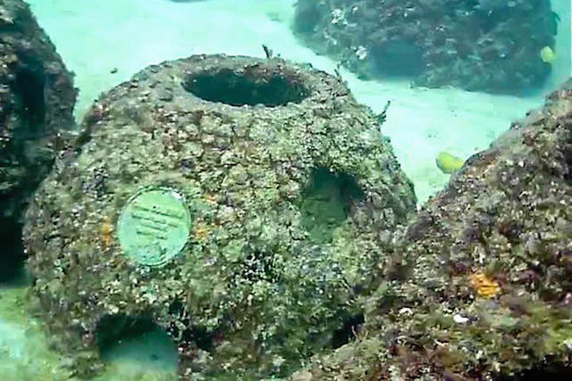 Công ty Eternal Reefs tại Sarasota, Mỹ cho ra đời dịch vụ người quá cố yên nghỉ dưới đáy biển với những đàn cá tung tăng bơi lội mỗi ngày. Để làm điều đó, họ trộn tro cốt hỏa táng của người chết với bê tông rồi xây dựng thành nơi cư trú mới cho cá và nhiều sinh vật biển khác.