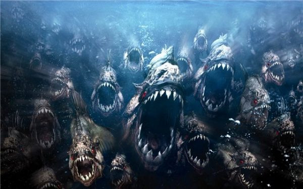 1. Chết vì bị cá Piranha cắn xé. Theo thông tin đăng tải, cái chết độc lạ này xảy ra ở thị trấn Rosario del Yata, Bolivia vào năm 2011. Một thanh niên 18 tuổi say rượu và nhảy xuống hồ nước có rất nhiều cá Piranha sinh sống. Ngay lập tức, cậu thanh niên bị đàn cá đáng sợ tấn công và chảy máu đầy đau đớn cho đến chết.