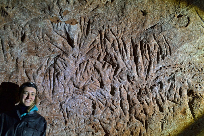 Các nhà địa chất học gọi những đường hầm này là "đường hầm cổ sinh" - "Paleoburrow" và nghi ngờ đường hầm này được đào bởi một loài khỉ đất khổng lồ đã tuyệt chủng. Thuật ngữ "Paleoburrow" bắt nguồn từ nhà địa chất học Heinrich Frank.