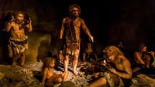 Người Neanderthal là một loài người đã tuyệt chủng được coi là "anh em" gần gũi của loài người hiện đại Homo sapiens. Theo các chuyên gia, người Neanderthal tuyệt chủng vào khoảng 43.000 - 38.000 năm trước.