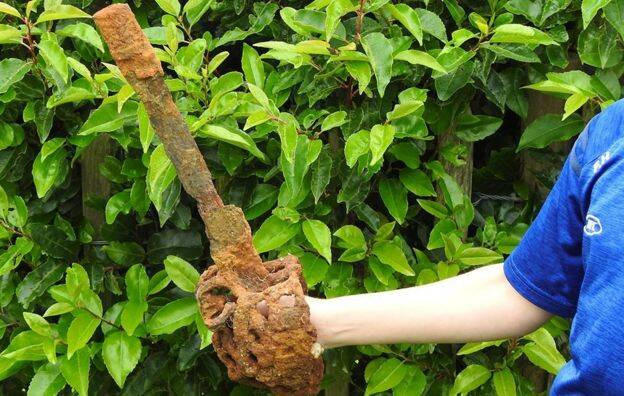 Sau khi đào được hiện vật lên và làm sạch bùn đất, Fionntan nhận ra đó là một thanh kiếm bị rỉ sét.