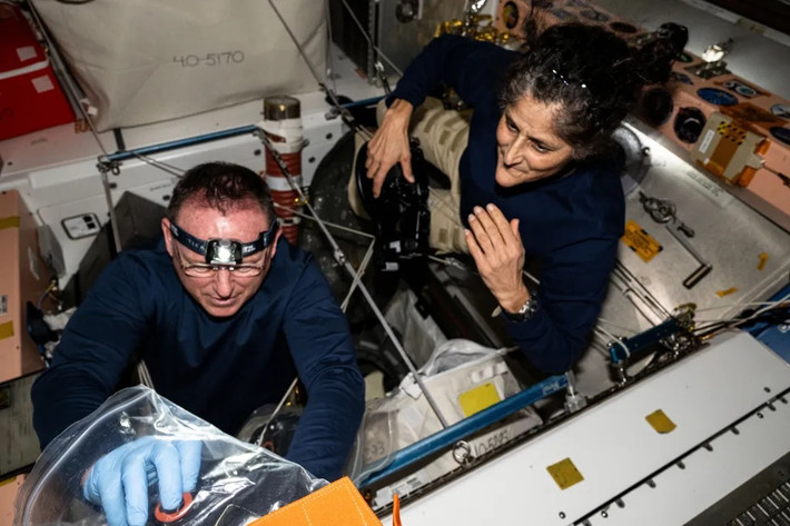 Theo thông báo của NASA, đến nay, phi hành gia Williams và Wilmore đã tham gia một số công việc thường ngày như: bảo dưỡng trạm vũ trụ, kiểm tra phần cứng, sắp xếp hàng hóa, thực hiện kiểm tra tàu vũ trụ Starliner, hỗ trợ các thí nghiệm khoa học và trình diễn công nghệ.