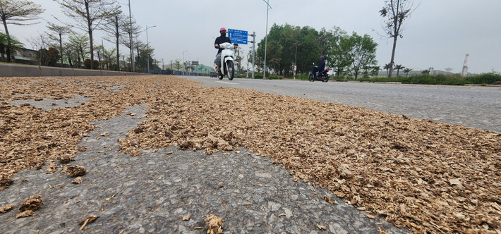 Xe máy buộc phải di chuyển vào làn ô tô để tránh tai nạn tại làn dăm gỗ.