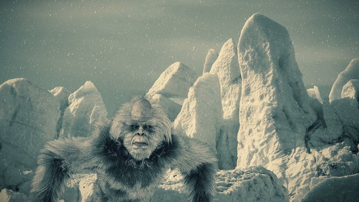 Điều này khiến nhiều người cho rằng, người tuyết Yeti mà các nhân chứng nhìn thấy có thể đơn giản chỉ là một con chó hoặc gấu. Thế nhưng, một quan điểm khác cho rằng, 9 mẫu bằng chứng đó không phải của người tuyết Yeti.