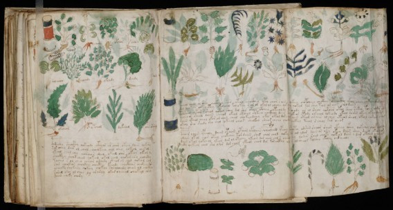 Bản thảo Voynich được đặt tên sau khi Wilfred Voynich, một đại lý đã mua nó và khiến nó nổi tiếng vào năm 1912. Trong bản thảo Voynich có vẽ và chú thích rất chi tiết về các loại thảo mộc và vũ trụ học. Tuy nhiên, nó không được viết bằng bất cứ ngôn ngữ nào mà loài người biết đến. Phóng xạ carbon cho biết cuốn sách ra đời trong khoảng năm 1404-1438, nhưng điều đó không trả lời câu hỏi nó đến từ đâu. (Nguồn Boredomtherapy)