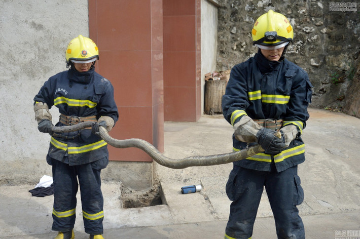 Trước đó không lâu, đội cứu hỏa Phàn Chi Hoa cũng bắt được một con rắn hổ mang cực độc trước lối vào một bệnh viện, khiến nhiều người kinh ngạc.