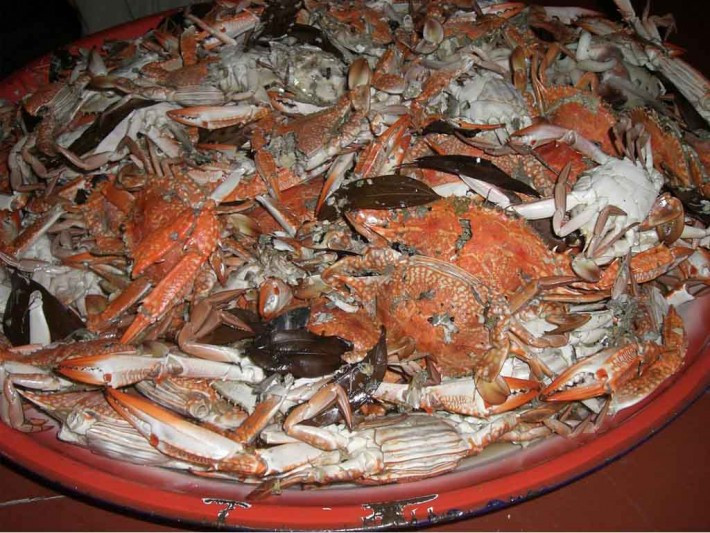 Sau đó, mọi người sẽ được thưởng thức một bữa tiệc buffet nướng ngay trên bờ biển.