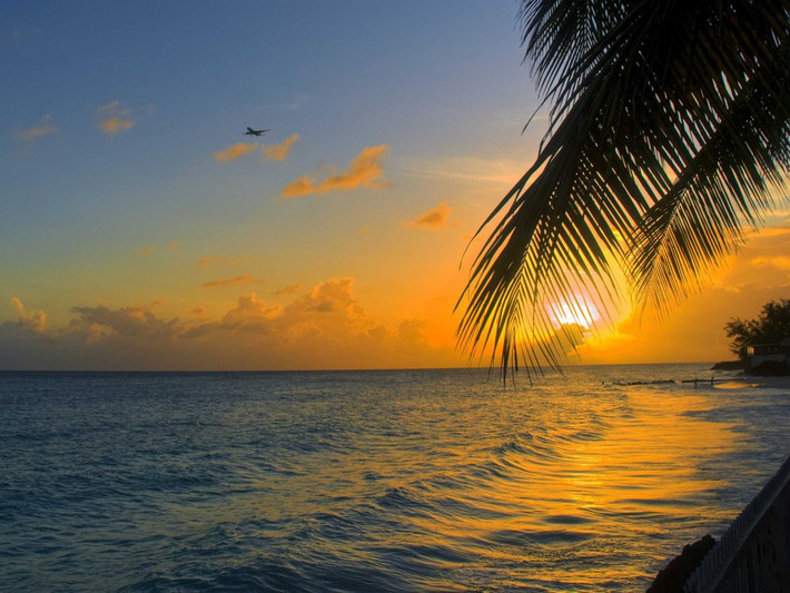 9. Barbados (một đảo quốc độc lập ở phía tây của Đại Tây Dương, phía đông của biển Caribe): Nổi tiếng với những bãi biển tuyệt đẹp và nước trong như pha lê, Barbados còn được biết tới là một trung tâm ngoại hối quốc tế. Điểm lợi thế cho công việc kinh doanh ở đây là sự ổn định chính trị và các múi giờ giống như khu vực bờ biển phía đông của Mỹ.