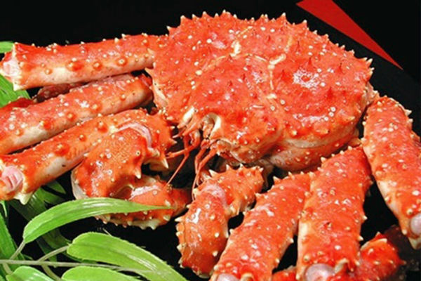 Trong thời gian từ tháng 2 đến giữa tháng 3 là thời gian lý tưởng để thưởng thức đặc sản cua tuyết.