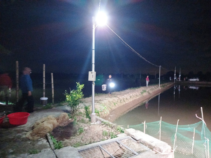 Trời về khuya, nước ở các ruộng rươi đã cạn trơ đáy, lúc này người dân thu dọn dụng cụ, mang rươi vừa thu hoạch đến điểm thu mua.