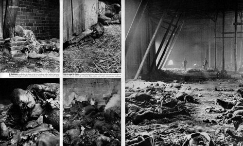 Tạp chí LIFE số ra ngày 7/5/1945 đã đăng tải loạt ảnh kinh hoàng bên trong trại tập trung Buchenwald, khiến thế giới sững sờ.