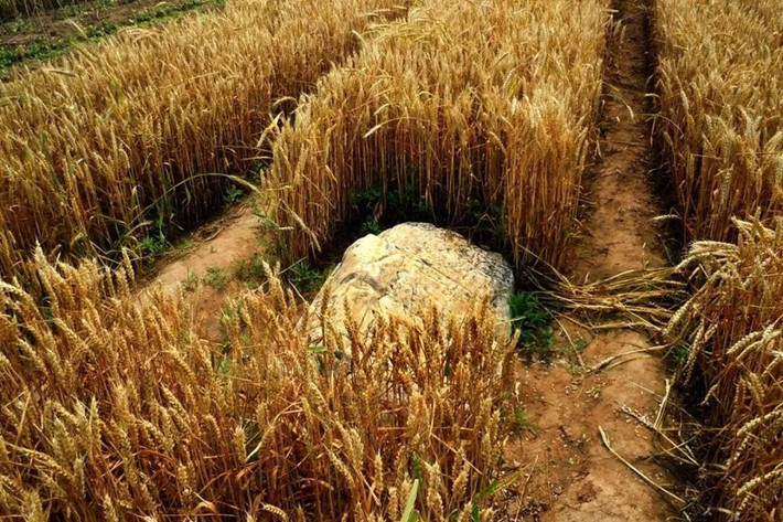 Sau nhiều lần thử đào bỏ ngọn núi tí hon này nhưng thất bại, chính quyền Thọ Quang đã chính thức công nhận núi Tĩnh Sơn là một ngọn núi ở địa phương.