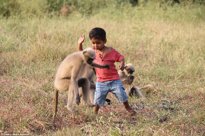 Samarth Bangari, 3 tuổi, ở làng Allapur, bang Karnataka, phía tây Ấn Độ còn được gọi là cậu bé rừng xanh phiên bản người thật bởi khả năng giao tiếp và kết bạn với những con khỉ hoang dã.