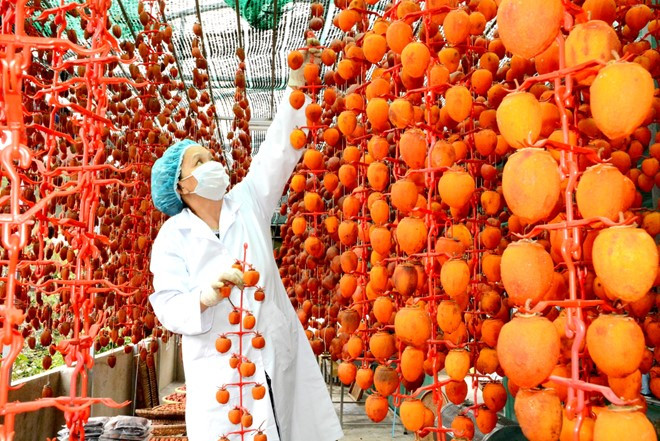 Đây là những hình ảnh hồng sấy khô được sản xuất tại TP Đà Lạt (Lâm Đồng). Theo Zing, hồng khô Đà Lạt dùng để sấy theo công nghệ Nhật Bản là hồng trứng và hồng vuông. Để có được chất lượng tốt nhất, người ta phải chọn những trái hồng to, tươi ngon gọt sạch vỏ trước khi sấy. Bước tiếp theo là cho hồng vào máy sấy để làm khô lớp nước bên ngoài trong vòng 2 tiếng đồng hồ. Ảnh: Zing.