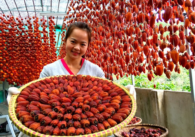 Hồng được sấy bằng nắng, gió tự nhiên có thêm quạt hỗ trợ. Làm hồng theo phương thức này phụ thuộc rất nhiều vào thời tiết. Nếu sấy đúng vào thời điểm mưa kéo dài, hoặc nóng ẩm thất thường, độ nóng không đạt thì hồng sẽ bị chảy nước, lên men. 20 ngày sau khi sấy, hồng đạt được độ khô, teo nhỏ, trong ruột đặc quánh mật ngọt. Ảnh: Zing.