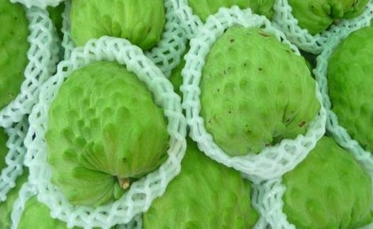 Theo Vietnamnet, loại mãng cầu na Đài Loan đang được rao bán ở mức giá 500.000 đồng/kg đối với mãng cầu bở, loại mãng cầu dai giá còn lên đến 550.000 đồng/kg loại cao cấp. Ảnh: Vietnamnet.