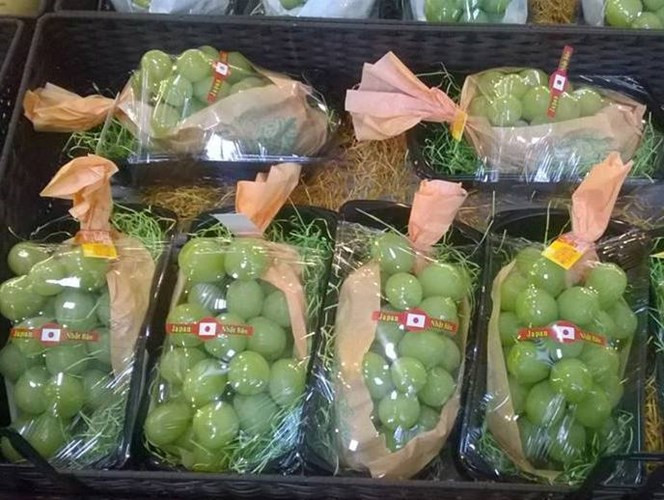 Quả to, bóng, ăn ngọt và giòn thơm,... loại nho xanh không hạt xách tay từ Nhật Bản về Việt Nam có giá 1,3 triệu đồng/kg, đắt gấp 5 lần loại nho xanh không hạt của Mỹ, song vẫn được nhiều người tiêu dùng trong nước tranh mua về ăn. Ảnh: Vietnamnet.