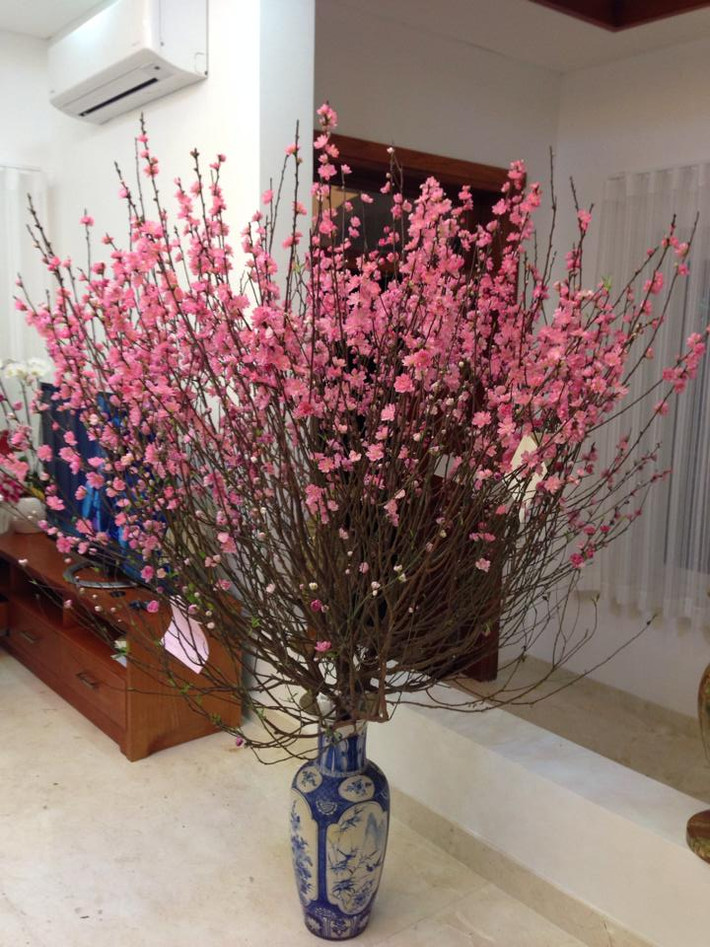 Nam ca sĩ khoe ảnh nhà mình được trang trí với cành hoa đào nở rộ dịp Tết. Ảnh: FBNV.