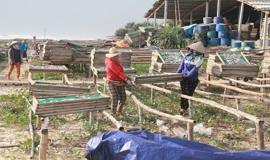 Trời tháng Sáu nắng cháy da bỏng thịt. Nhưng đối với những người phụ nữ làng chài huyện Thăng Bình (tỉnh Quảng Nam), càng nắng càng tốt, vì giúp họ phơi cá mưu sinh. Ảnh: Báo Pháp Luật.