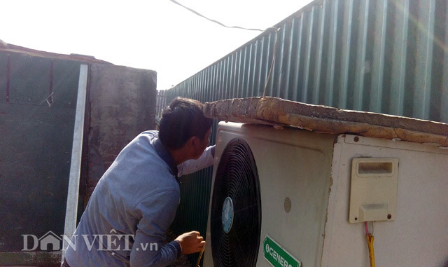 Ông Hàm cho biết, hơn 1 tháng nữa mới đến Tết nhưng hiện tại, các gốc đào ở vườn nhà ông đã được khách hàng ở Hà Nội, thậm chí tận Thanh Hóa, Nghệ An, Đà Nẵng đến đặt mua gần hết. Có nhiều khách đã đặt hàng rồi vẫn tranh thủ hàng tuần lại lên vườn xem cây. Ảnh: Dân Việt.