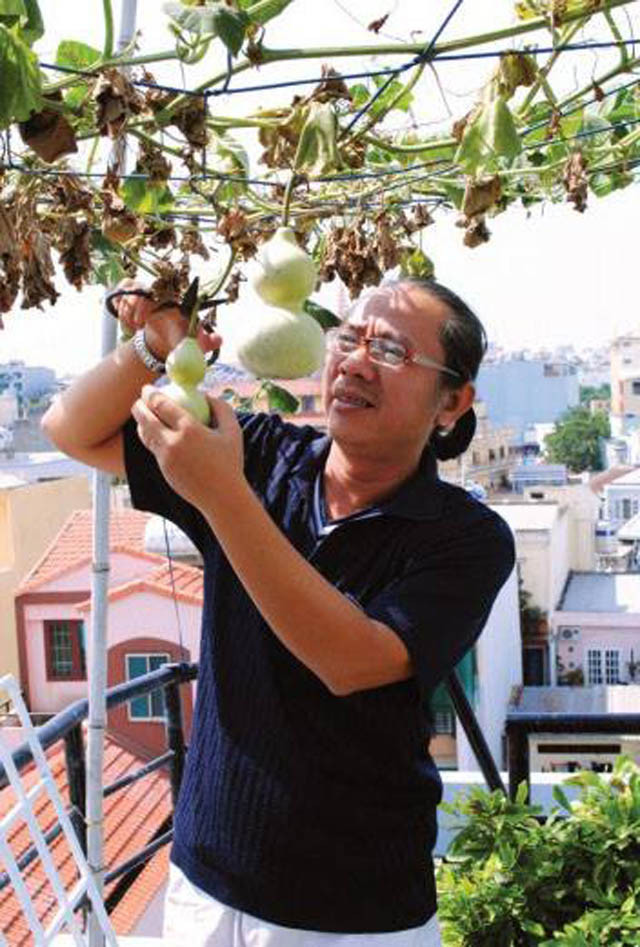 Sống ở trung tâm TP HCM nhưng nghệ sĩ Trung Dân vẫn thiết kế được một vườn rau trên sân thượng. Anh trồng bầu, mướp, mướp đắng, hoa và một số loại cây ăn trái. Ảnh: Zing.