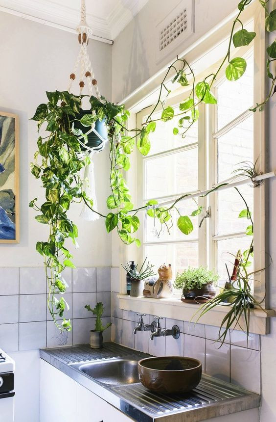Chỉ cần một chậu nhựa chuyên trồng cây và chiếc dây treo là bạn có thể tự tay sáng tạo một giỏ cây trang trí tại phòng bếp.