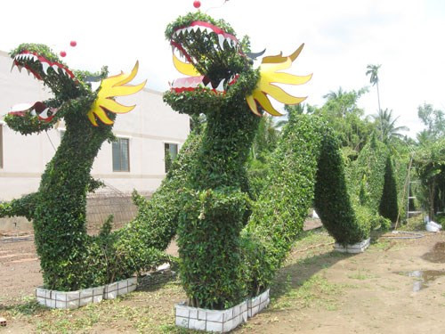 Cây kiểng hình thú chơi Tết là một trong những mặt hàng "hái ra tiền" cho các tỉnh miền Tây Nam Bộ. Trung bình, những cây kiểng hình thú có giá từ vài triệu đến hàng chục triệu đồng tùy độ cầu kỳ tạo hình và kích thước. Ảnh: Báo Đồng Khởi.