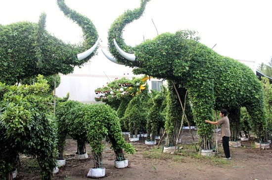 Trong hình là vườn kiểng thú 12 con giáp (rồng, dê...) của ông Nguyễn Văn Công tại ấp Phú Long. Một số cây kiểng hình thú của ông đã xuất khẩu sang Singapore, Úc. Ảnh: SGTT.