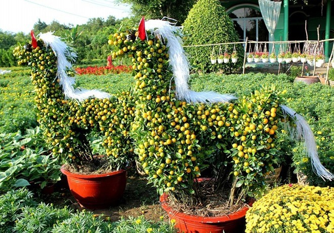 Một cặp kiểng ngựa được tạo hình từ cây quất (hay còn được gọi là tắc) được rao bán với giá 3-4 triệu đồng. Ảnh: Zing.