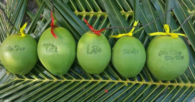 Dừa in chữ chìm nghệ thuật: Người thanh niên sáng tạo nên trái dừa in chữ chìm nghệ thuật này là Huỳnh Thanh Tâm, một chàng trai 30 tuổi ở ấp Phú Nhơn, thị trấn Châu Thành, huyện Châu Thành, tỉnh Bến Tre. Ảnh: Internet.