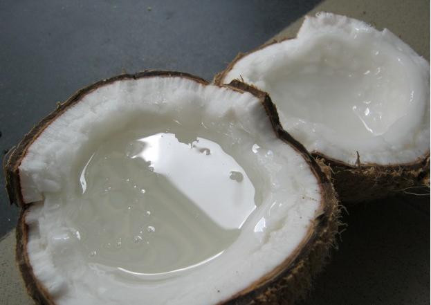 Dừa sáp có giá dao động từ 80.000 đến 130.000 đồng/trái (được bán tại huyện Cầu Kè), trong khi đó dừa thường chỉ từ 30.000- 60.000 đồng/10 trái bán tại vườn. Ảnh: Internet.