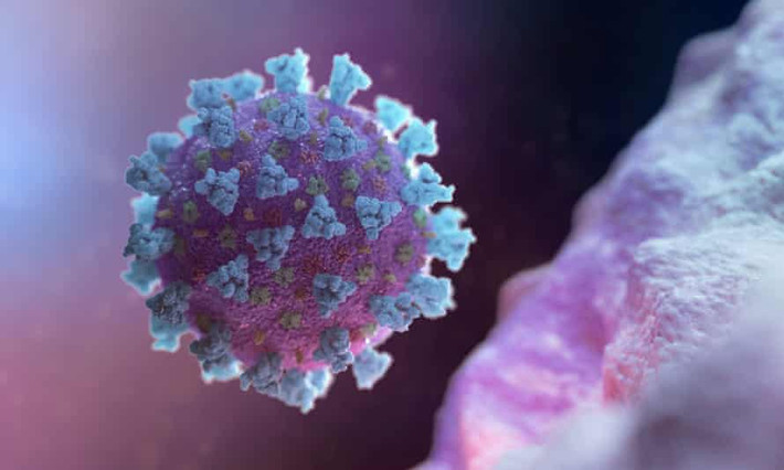 Việc đánh cắp những khả năng sửa đổi giúp ổn định virus và khiến virus lây nhiễm thành công hơn vào tế bào vật chủ.
