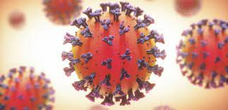 RNA đóng vai trò quan trọng trong việc giúp virus sản xuất protein. Khi virus lây nhiễm và xâm nhập vào tế bào của con người thì protein gai trên bề mặt của nó gắn vào các thụ thể tế bào của con người hoặc vật chủ. Sau đó, nó sẽ đưa chất liệu di truyền vào trong tế bào chủ - nơi RNA được biến đổi để tạo ra protein của virus.