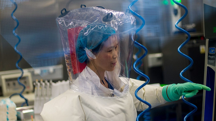 Không những vậy, bà Shi Zhengli cũng lên tiếng phủ nhận những cáo buộc cho rằng virus rò rỉ từ Viện Virus học Vũ Hán chính là nguyên nhân gây ra đại dịch COVID-19 khiến thế giới đối mặt với dịch bệnh nguy hiểm.