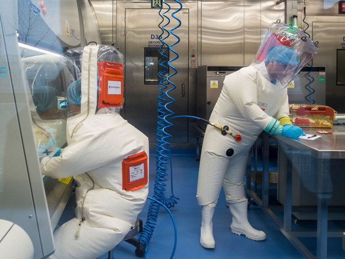 Phó Giám đốc Viện Virus học Vũ Hán được nhiều người biết đến với biệt danh "người đàn bà dơi". Điều này xuất phát từ việc bà là một chuyên gia về virus corona từ dơi.