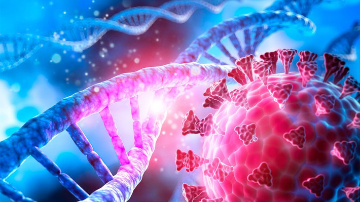 Trong quá trình nghiên cứu, nhóm chuyên gia phát hiện virus SARS-CoV-2 đã sao chép và lây lan virus tổng hợp trên từ đó thúc đẩy sự suy giảm của chính mình.