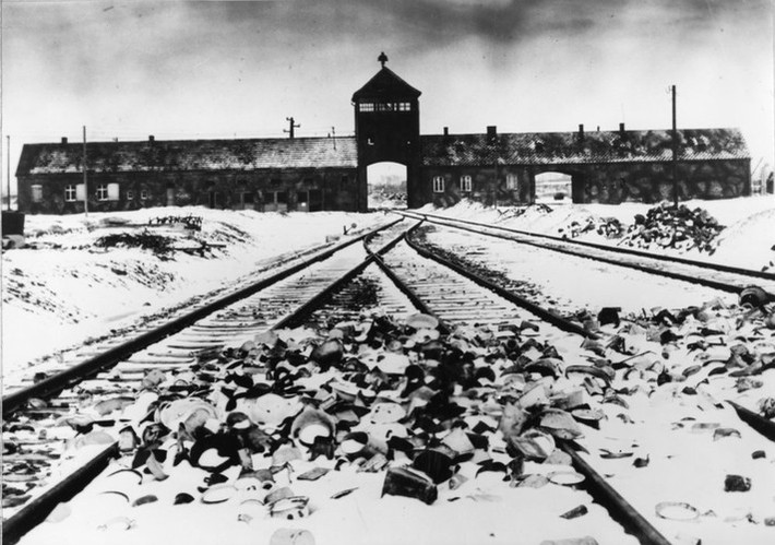 Kể từ khi trùm phát xít Hitler lên nắm quyền, chính quyền phát xít Đức dung túng cho nhiều bác sĩ làm việc trong các trại tập trung tiến hành những thí nghiệm rùng rợn trên cơ thể tù nhân. Bác sĩ Hans Eppinger là một trong những người tiến hành nhiều thí nghiệm tàn bạo gây ra cái cái chết của hàng trăm người.