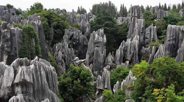 Dưới thời nhà Minh, khu rừng đá Thạch Lâm trải dài trên diện tích khoảng 400 km2. Nơi đây còn được mệnh danh là "Kỳ quan đầu tiên của thế giới".