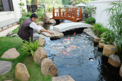 Trong khu vườn độc đáo này có đầy đủ các yếu tố của một khu vườn truyền thống Nhật: đảo, hồ cá Koi sâu 1,2m (điểm nhấn trung tâm), thác nước, đèn đá, chậu rửa tay, cầu đá, cầu gỗ.