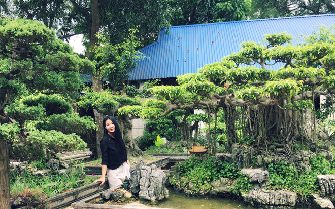Khu vườn với hơn 30 chậu cây bonsai chục năm tuổi của bà chủ xinh đẹp ở Hà Nội: Khu vườn cảnh này rộng hơn 1.000m² với hàng chục chậu cây bonsai cùng nhiều loại hoa rực rỡ sắc màu gây ấn tượng ngay từ cái nhìn đầu tiên.