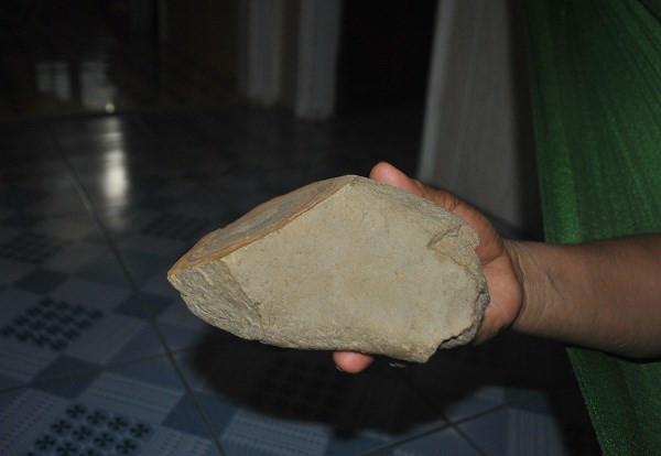 Hòn đá nghi là thân cây hóa thạch mà gia đình ông Phong đang sở hữu có màu sắc, hình dáng như thân cây bị cưa ngay ngang, thoải về một đầu, nặng khoảng 2,5kg, chiều dài khoảng 14cm, bề ngang khoảng 7cm.