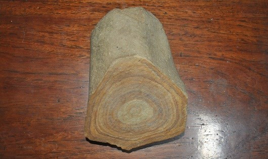 Gia đình ông Bùi Đức Phong (ở thôn Định An, thị trấn Vĩnh Thạnh, huyện Vĩnh Thạnh, Bình Định) sở hữu hòn đá nghi là thân cây hóa thạch có giá hàng tỷ đồng. Có rất nhiều đại gia từ khắp nơi như TP Quy Nhơn (tỉnh Bình Định), TP. Nha Trang (tỉnh Khánh Hòa), TP Tuy Hòa (tỉnh Phú Yên), TP Pleiku (tỉnh Gia Lai)… lái ô tô đến nhà ông Phong xem thân cây hóa thạch và hỏi mua với giá cao ngất ngưởng.