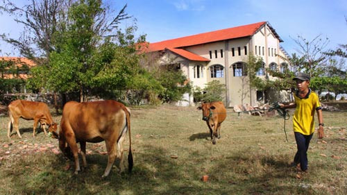 Khi nhiều resort đang xây dựng dang dở thì năm 2007, Bộ Giao thông vận tải có văn bản bổ sung quy hoạch Kê Gà thành cảng tổng hợp. Do đó, các nhà đầu tư du lịch bị buộc phải nhường đất cho dự án cảng biển mang tầm quốc gia. 12 dự án du lịch đã và đang xây dựng bị thu hồi để xây dựng cảng Kê Gà. Nhiều dự án không nằm trong khu vực Kê Gà cũng bị ảnh hưởng gián tiếp.