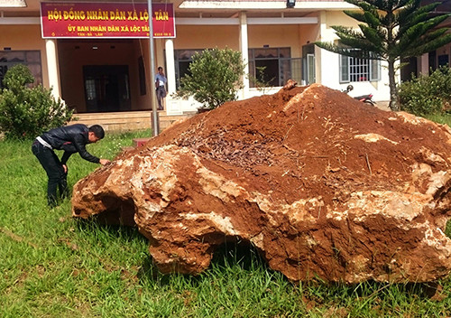 UBND xã Lộc Tân, huyện Bảo Lâm đang tạm giữ tảng đá nặng 20 tấn nghi khoáng sản quý do ông Phạm Văn Chính mua và đào lên tại vườn cà phê. Giới chơi đá quý tại Lâm Đồng nhận định, tảng đá trên là caxedon, giá trị hàng tỷ đồng.