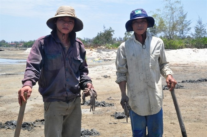 Mỗi kg giun biển tươi thương lái thu mua tại chỗ giá 50.000 đồng, còn hàng khô là 800.000 đồng/kg. Mỗi ngày bình quân một “thợ săn” kiếm được trên chục kg giun tươi. Lợi nhuận cao, khiến nhiều hộ dân ở các tỉnh đổ về Thừa Thiên - Huế khai thác giun biển.