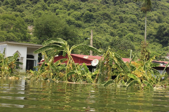 Mặc dù trời nắng như đổ lửa nhưng người dân Việt Hải vẫn khốn khổ vì ngập lụt. Nào là thiếu thốn vật chất, đi lại khó khăn hay bị nước ăn mòn da chân, da tay đến rớm máu.