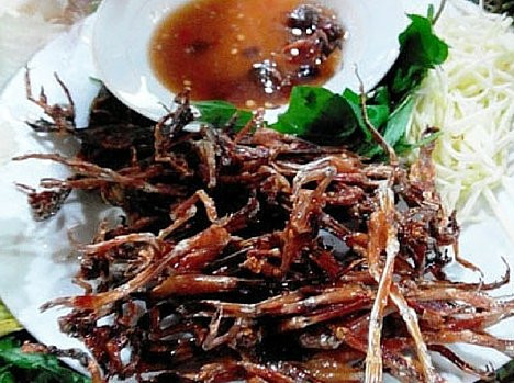 Khô nhái nướng sa tế: Lưu ý cho món này là các bạn nên dùng khô nhái chưa qua tẩm ướp gia vị. Các bạn dùng hỗn hợp sa tế pha loãng với nước và mắm me, thêm chút đường ướp cùng khô nhái, để một lúc cho thấm gia vị (khoảng 15-20 phút) rồi đem nướng qua bếp than, nếu ai muốn đơn giản thì rang sơ trên chảo cũng được. Ảnh: Internet.