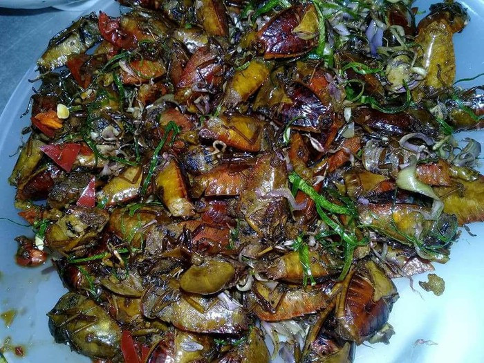 Bọ xít sau khi được chiên giòn, các đầu bếp sẽ tiếp tục cho thêm lá chanh thái chỉ vào đảo để mọi gia vị ngấm đều vào thịt từng con bọ xít.