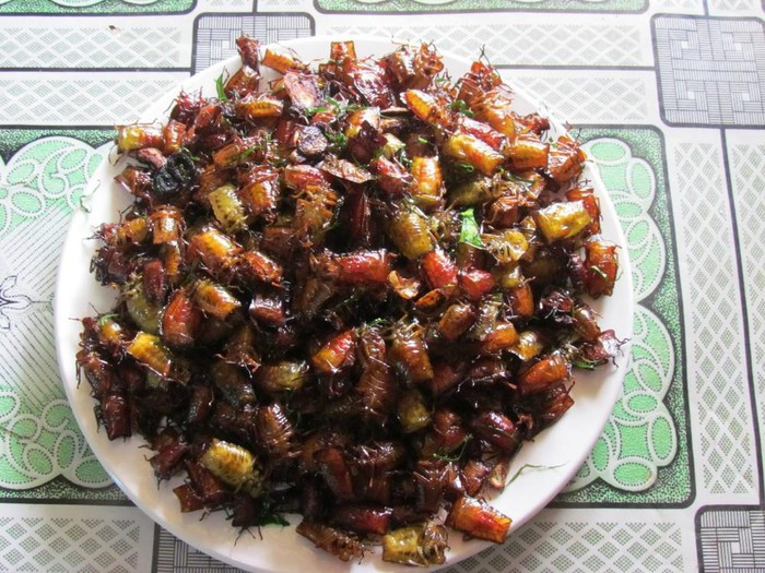 Món bọ xít rang lá chanh có thể ăn với cơm nóng hoặc làm mồi nhậu nhâm nhi cùng những cốc bia mát lạnh trong mùa hè. Bọ xít ngoài rang với lá chanh, người ta còn thường đem rang cùng măng chua.