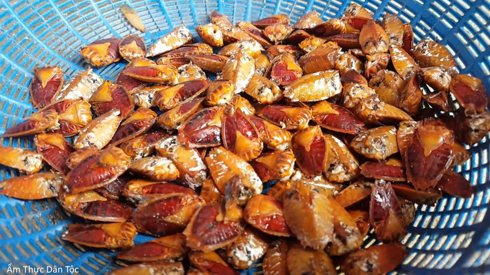 Với những ai đã từng được một lần ăn thử món bọ xít rang chắc chắn sẽ nhớ mãi cảm giác giòn tan, hương vị rất độc đáo của loại côn trùng này.